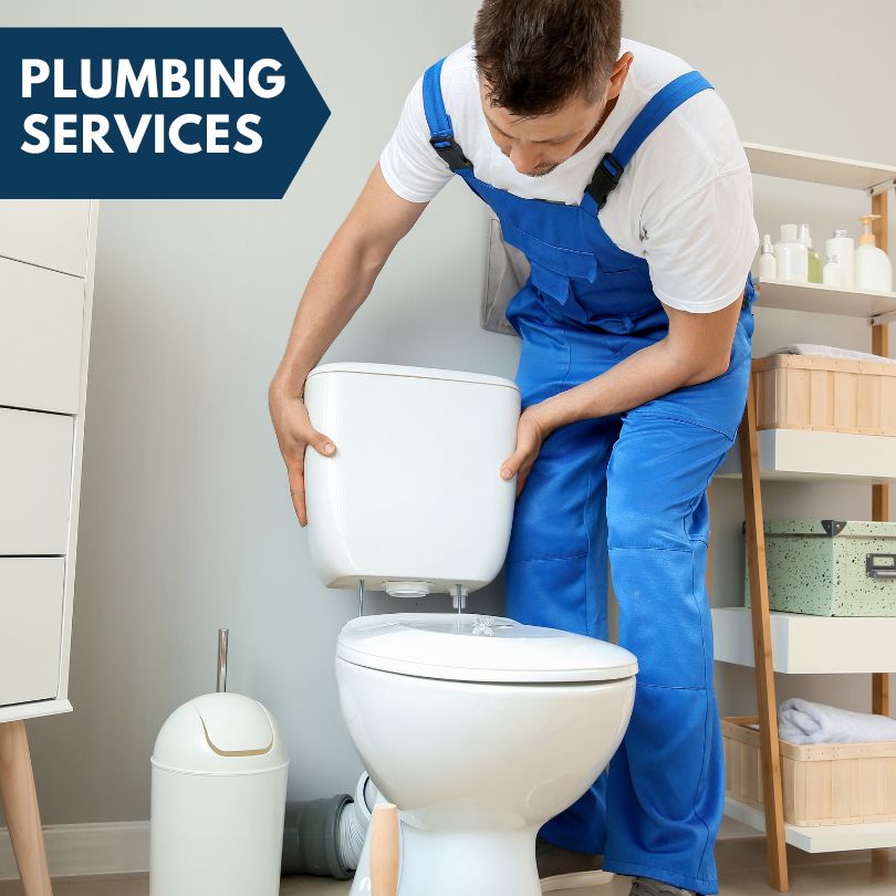Plumbing Company in Patterson, IA